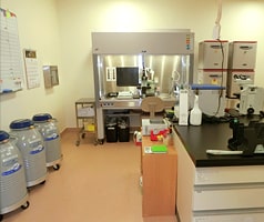 採卵･処置室