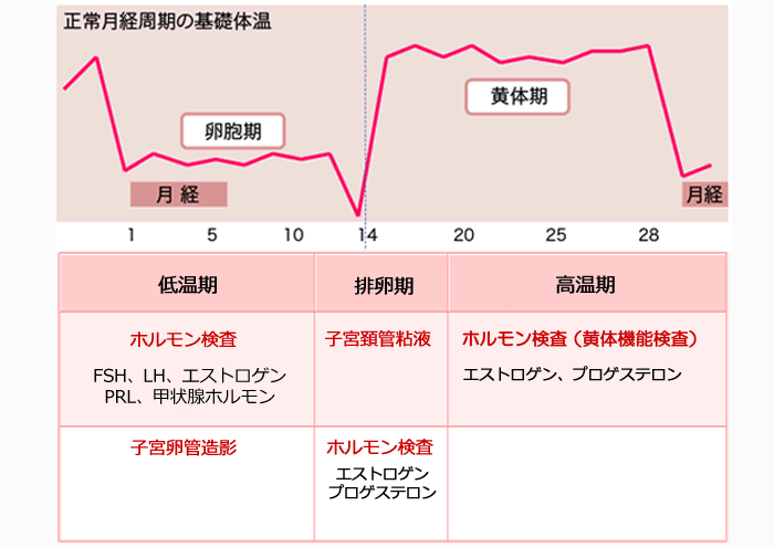 不妊症検査 北見 不妊外来 中村記念愛成病院